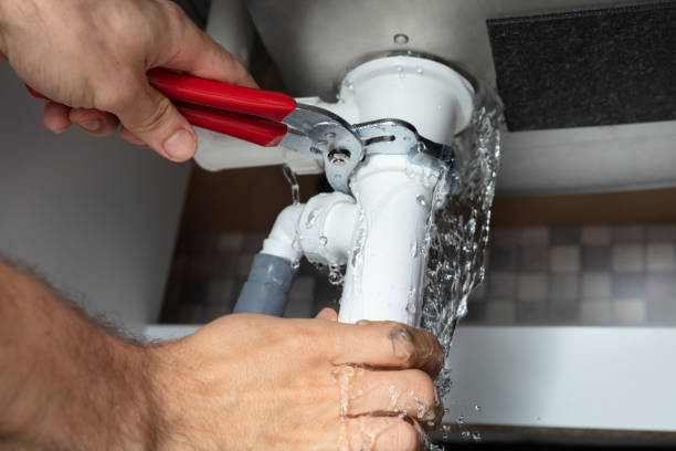 Best Basement water damage restoration  in Eagle Butte, SD