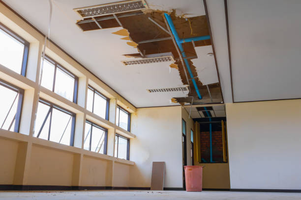 Best Residential water damage restoration  in Eagle Butte, SD
