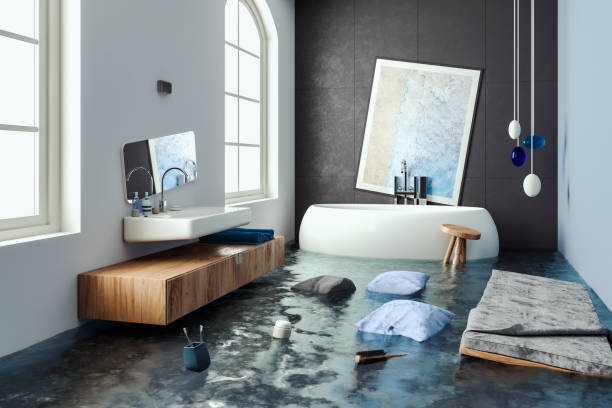 Best Mold removal after water damage  in Eagle Butte, SD