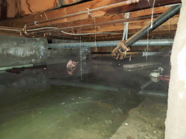 Best Water damage restoration near me  in Eagle Butte, SD