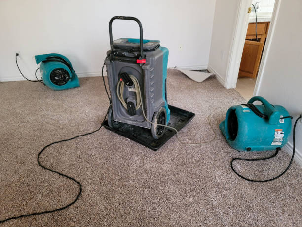 Best 24-hour water damage restoration  in Eagle Butte, SD