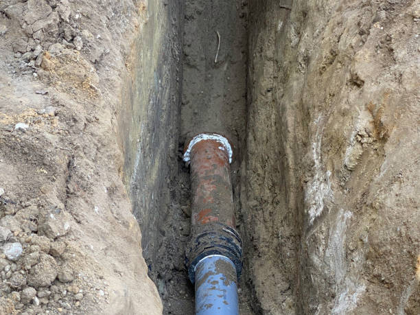 Best Flood restoration services  in Eagle Butte, SD