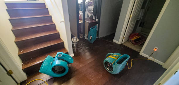 Best Basement water damage restoration  in Eagle Butte, SD