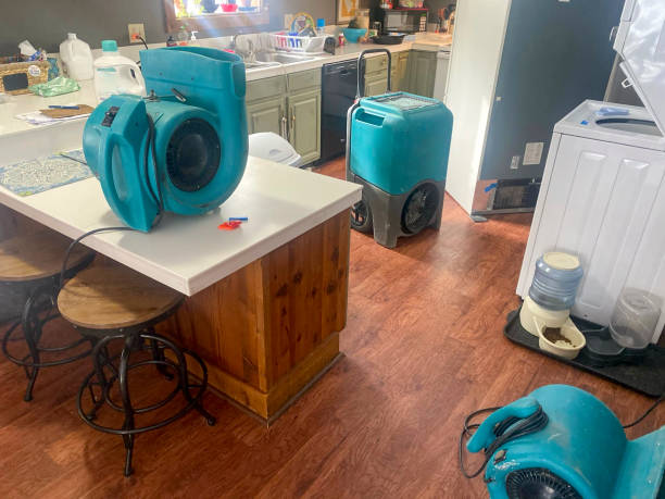 Reliable SD Water damage restoration Solutions