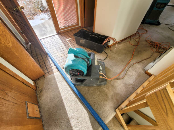 Best Flood damage cleanup  in Eagle Butte, SD