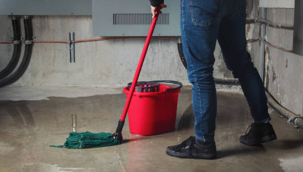 Best Water damage restoration insurance claims  in Eagle Butte, SD
