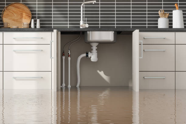 Best Carpet water damage restoration  in Eagle Butte, SD